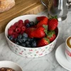 Best Djerf Avenue All Around Bowl Big Summer Berries