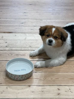 Best Djerf Avenue All Around Bowl Big Summer Berries