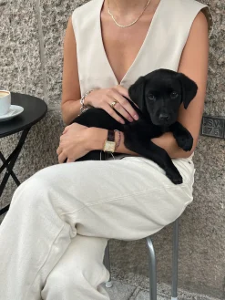 Flash Sale Djerf Avenue Day-to-day Vest Cream