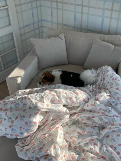 Shop Djerf Avenue Duvet Cover Summer Berries - Single