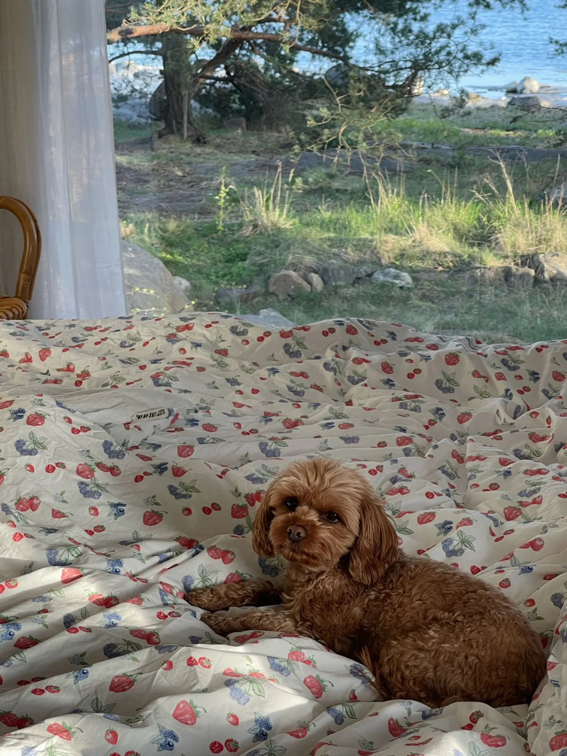 New Djerf Avenue Duvet Cover Summer Berries