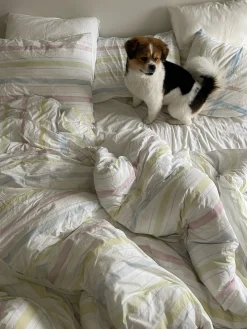 New Djerf Avenue Duvet Cover Summer Rainbow