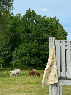 Fashion Djerf Avenue Kitchen Apron Fruit