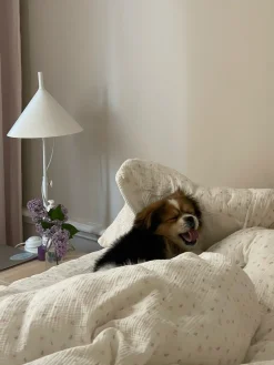 Sale Djerf Avenue Muslin Pillow Case Butterfly