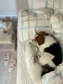 Cheap Djerf Avenue Pillow Case Gingham