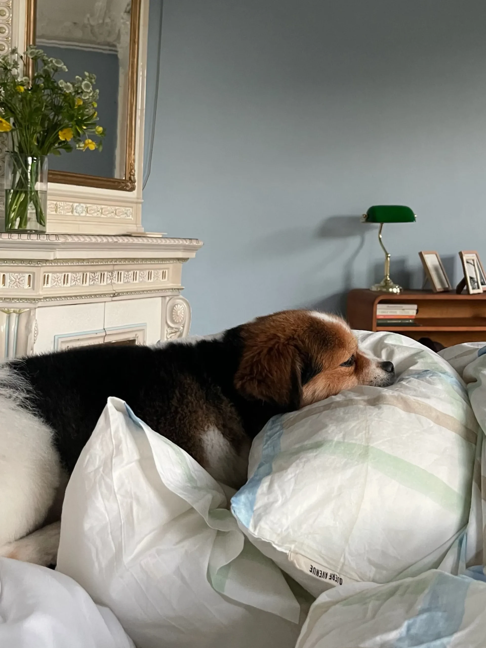 Cheap Djerf Avenue Pillow Case Gingham