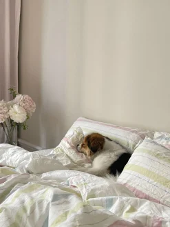 Discount Djerf Avenue Pillow Case Summer Rainbow