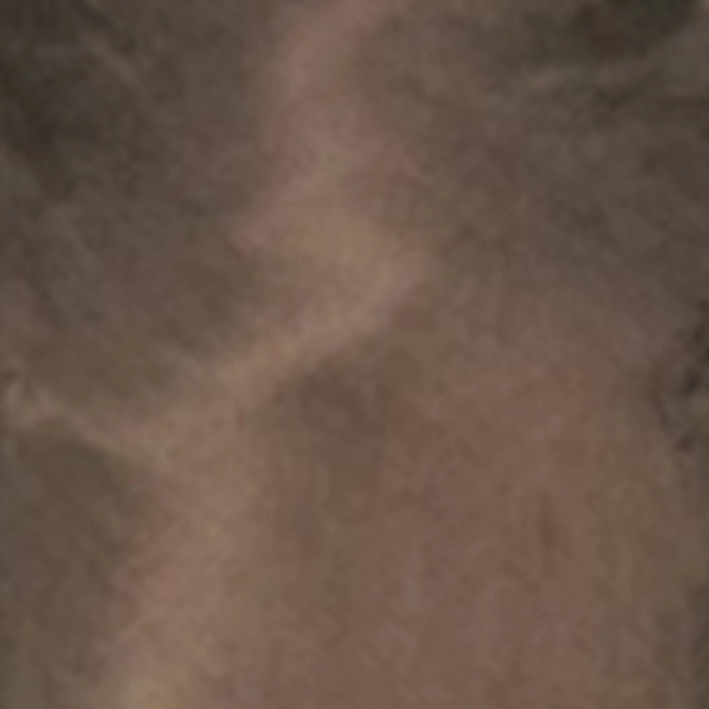 Cheap Djerf Avenue REMAKE Dream Set Midi Dark Mocha