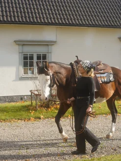 Fashion Djerf Avenue Straight Jeans Midnight Black